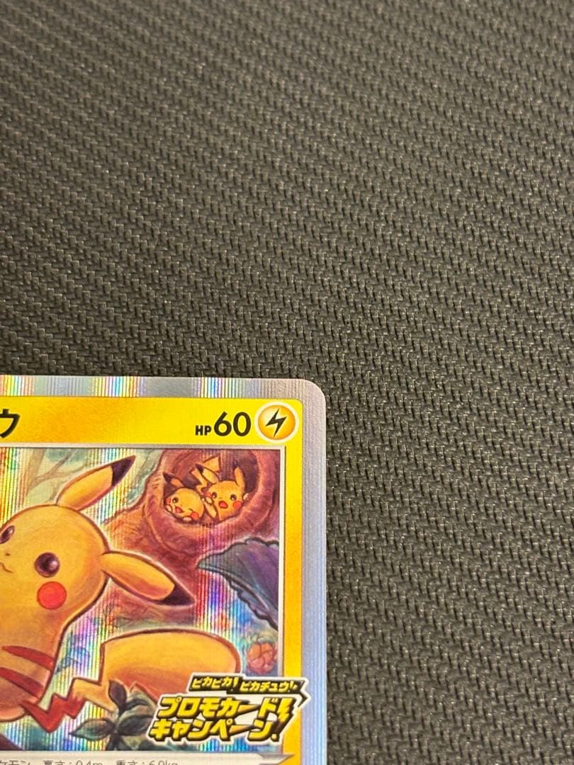ピカチュウ：ピカピカ！ピカチュウ！プロモカードキャンペーンPROMO …