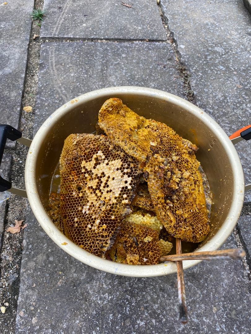 ミツロウ　ニホンミツバチの蜜蝋　国産天然みつろう　誘引.ハンドメイド