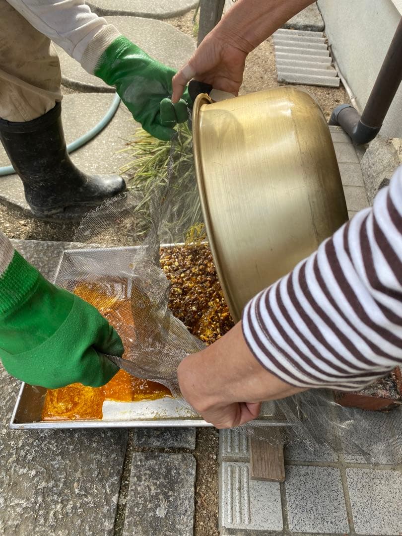 ミツロウ　ニホンミツバチの蜜蝋　国産天然みつろう　誘引.ハンドメイド