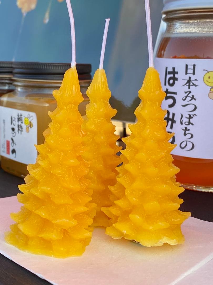 ミツロウ　ニホンミツバチの蜜蝋　国産天然みつろう　誘引.ハンドメイド