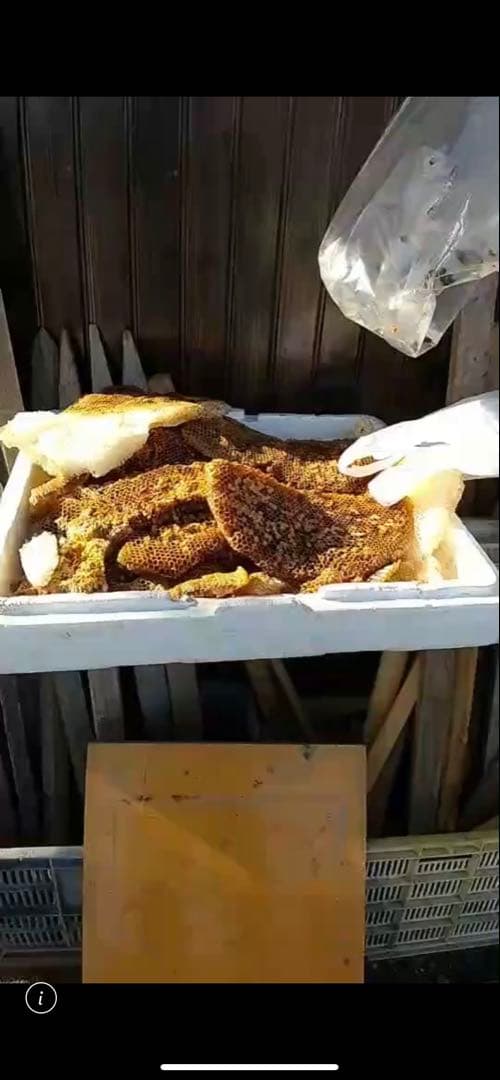 ミツロウ　ニホンミツバチの蜜蝋　国産天然みつろう　誘引.ハンドメイド