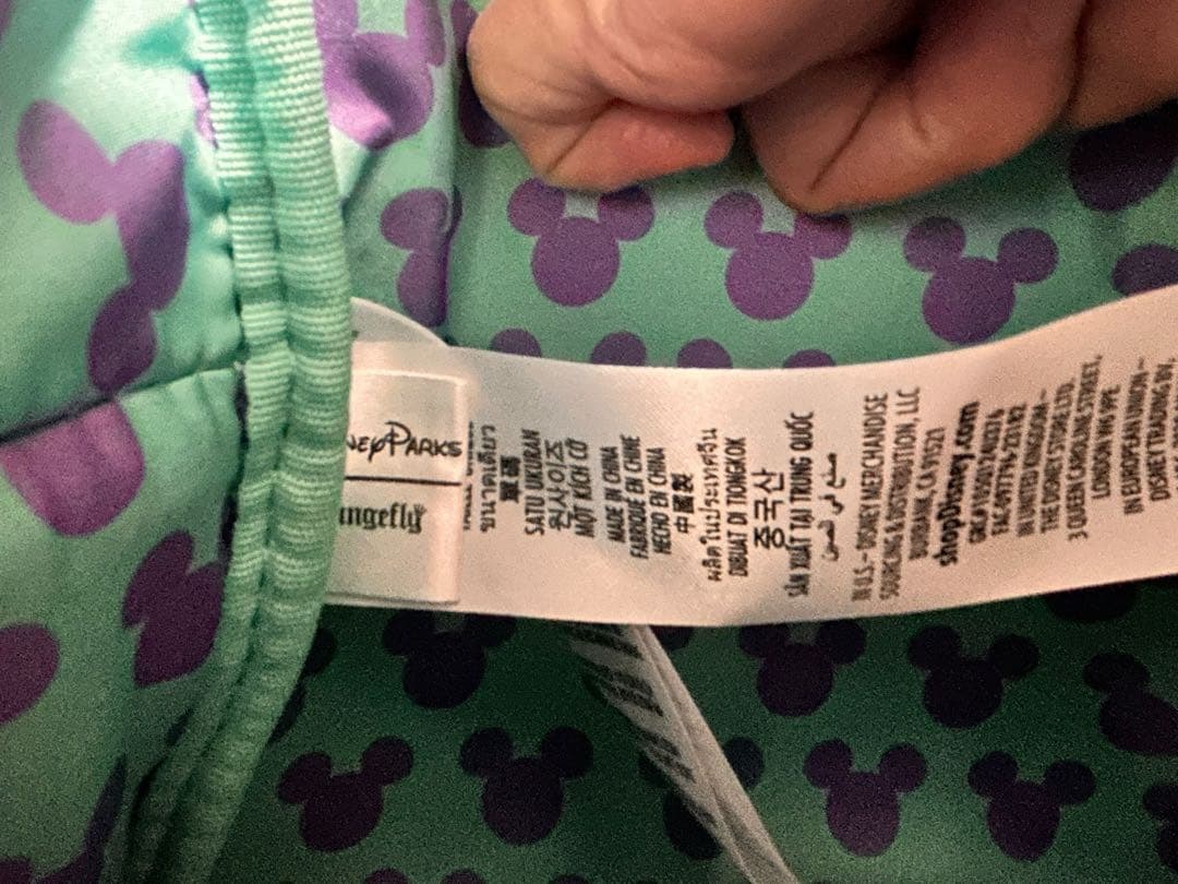 【新品タグ付き】ディズニーパークス ラウンジフライ ミニリュック ミニー