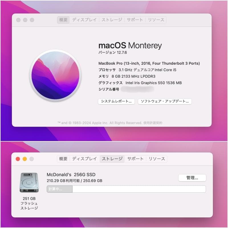 MacBook本体 P86) MacBook Pro 13 i5 8G 256G 2016