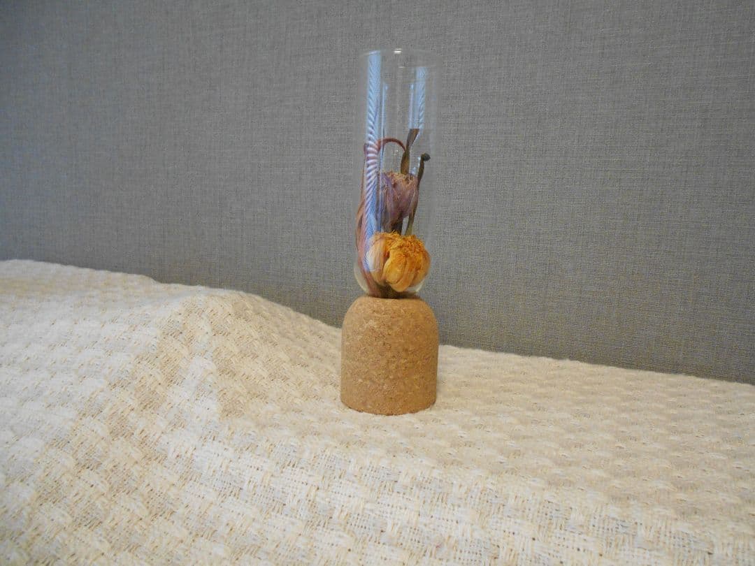 ✨SDカード付✨Nikon COOLPIX L32