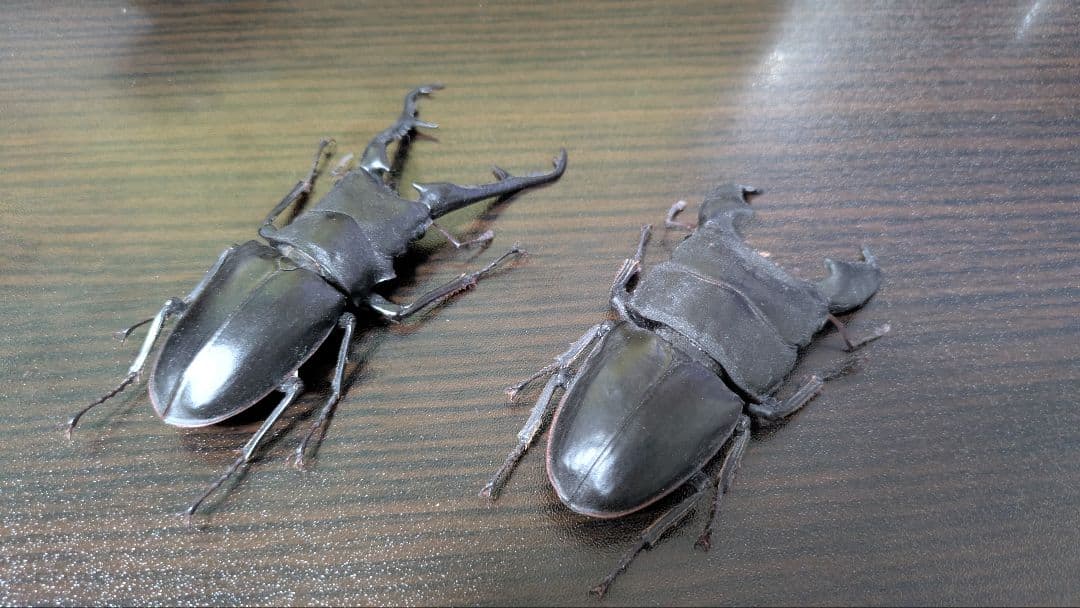 昆虫　フィギュア　涅槃　オオヒラタクワガタ　ギラファノコギリクワガタ