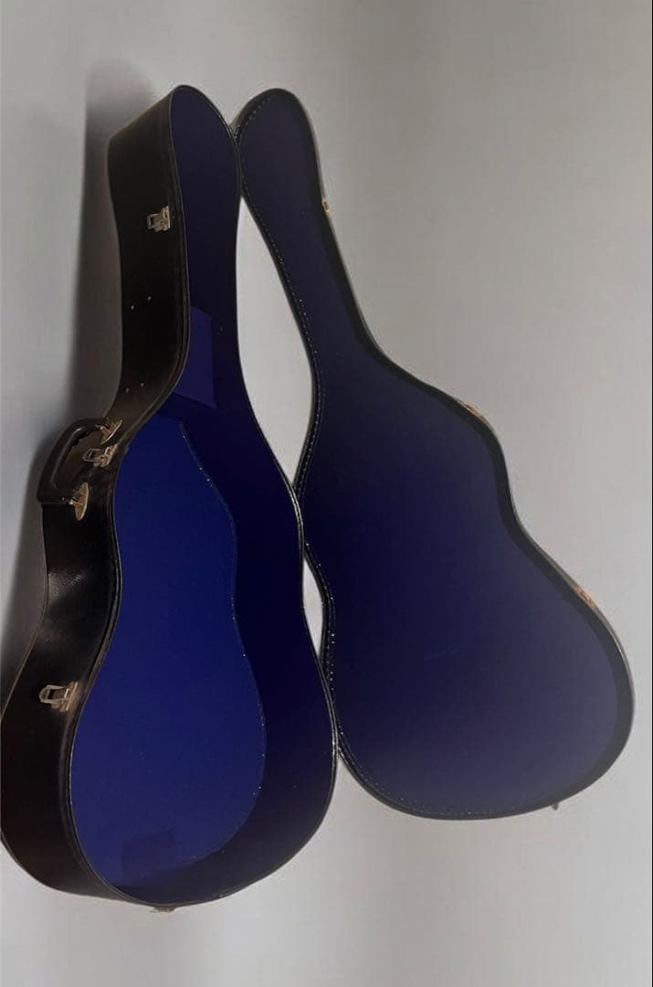 MORRIS W-15 アコースティック ギターGuitar