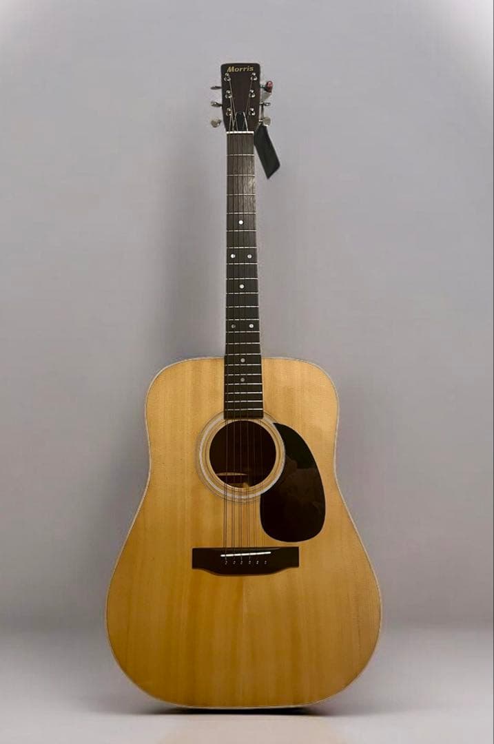 MORRIS W-15 アコースティック ギターGuitar