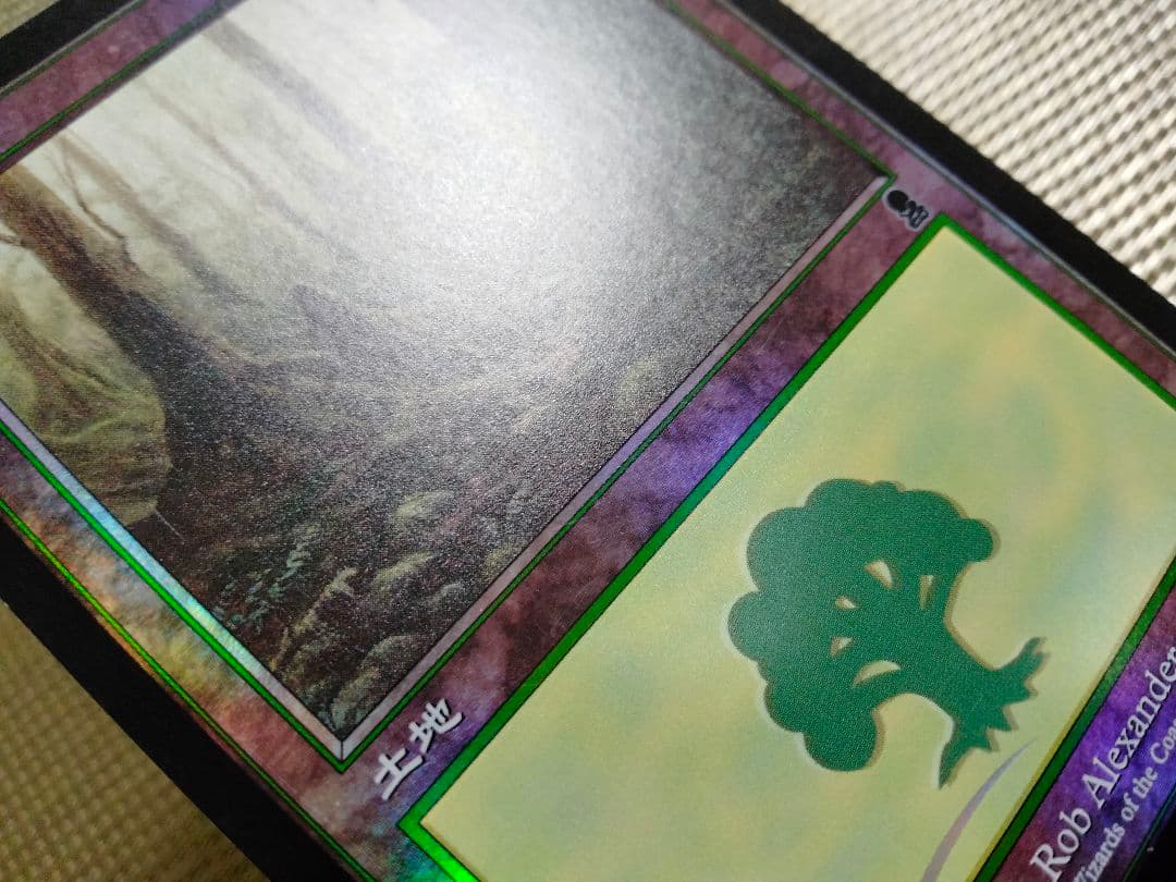 【ご確認用】オデッセイ foil 森(348)c 日本語 1枚　MTG