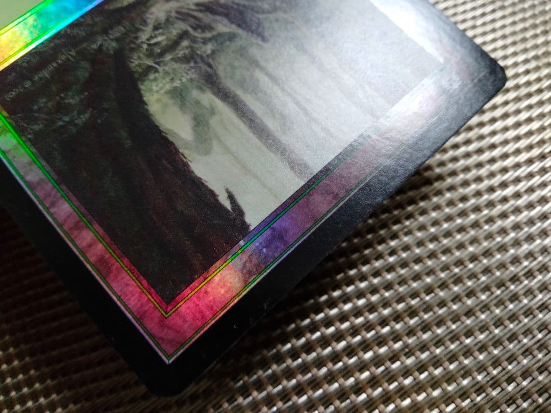 【ご確認用】オデッセイ foil 森(348)c 日本語 1枚　MTG