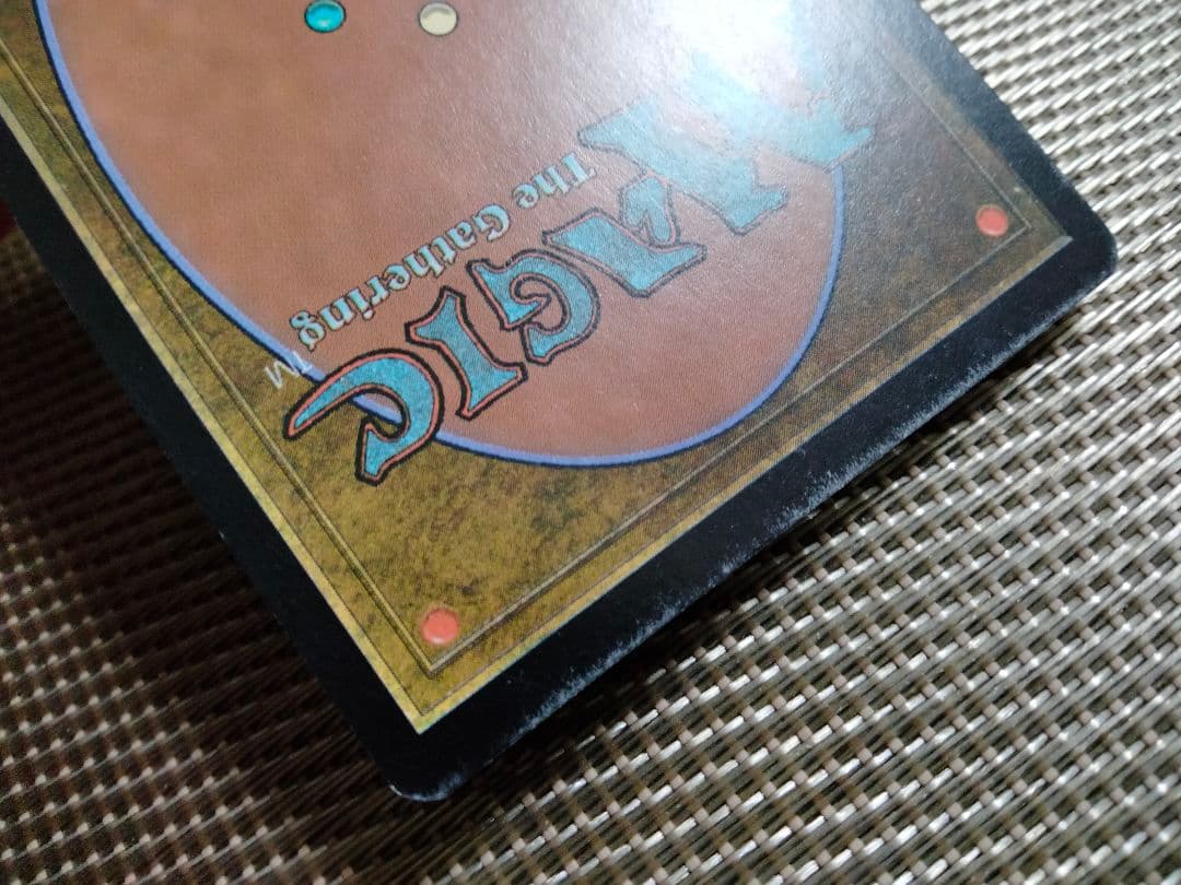 【ご確認用】オデッセイ foil 森(348)c 日本語 1枚　MTG