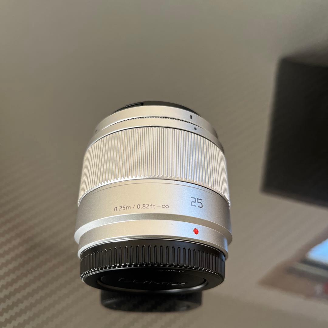 カメラ　Panasonic LUMIX DC-GF9W デジタル一眼レフ