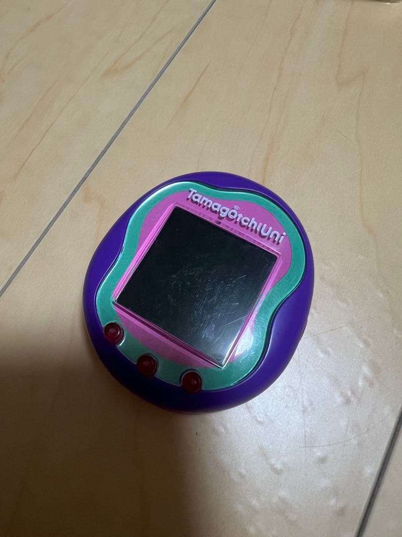 Tamagotchi Uni パープル　ダウンロードエリア有