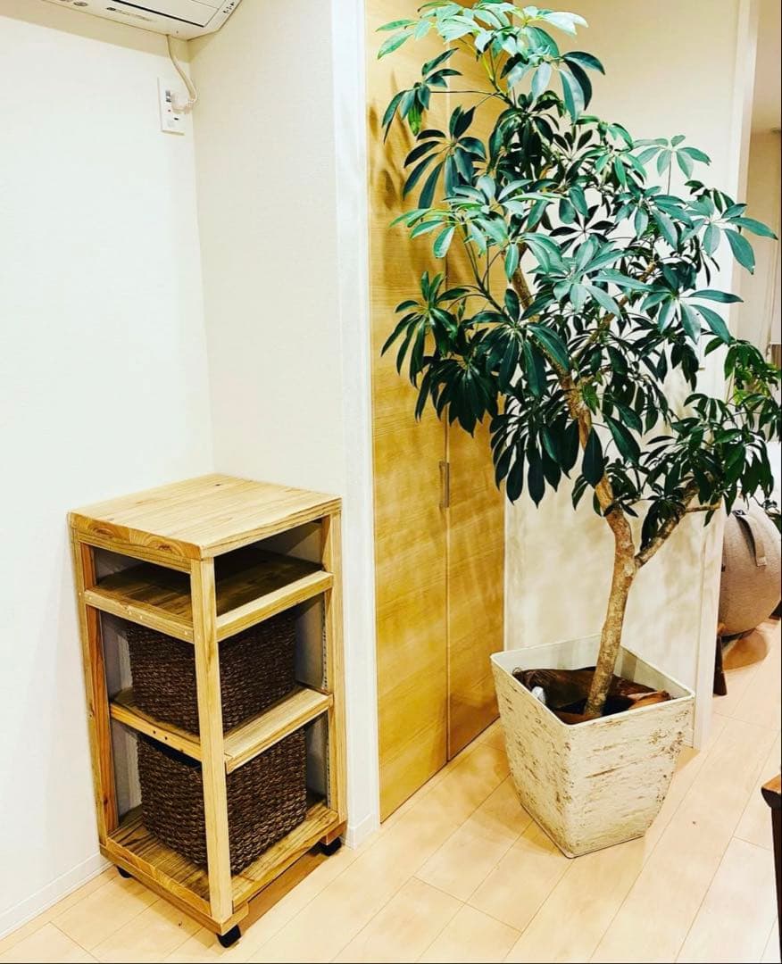 天然木デスクとシェルフセット