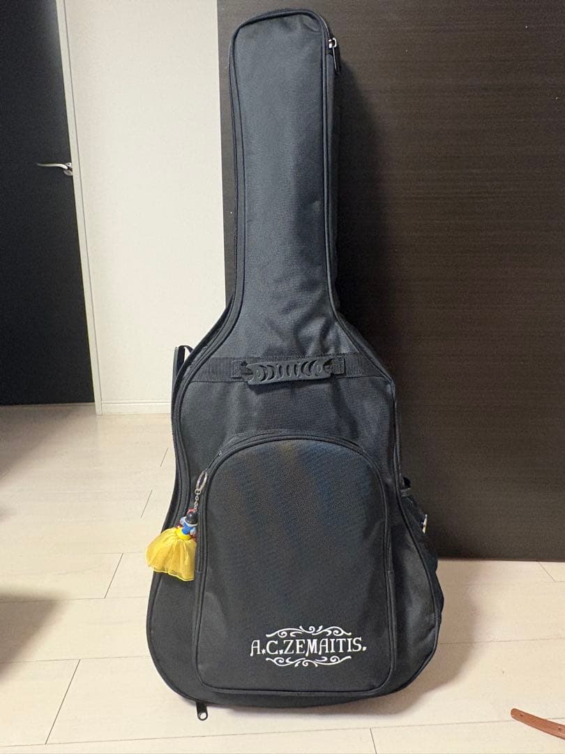 A.C.ZEMAITIS エレアコ CAG-100HW-E ゼマイティス