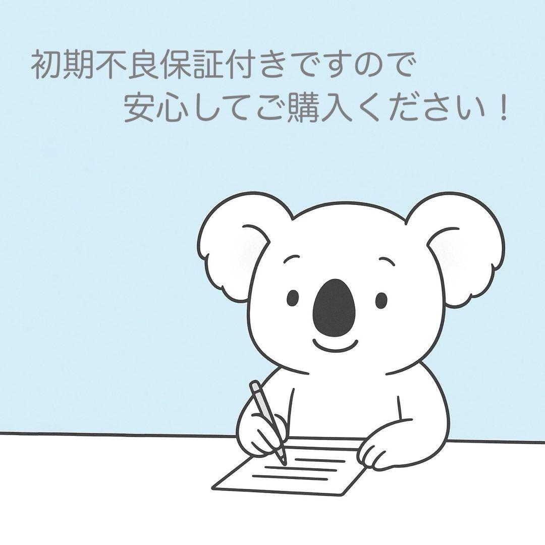 SONY Cyber-shot DSX-F505 デジカメ 美品 a4845