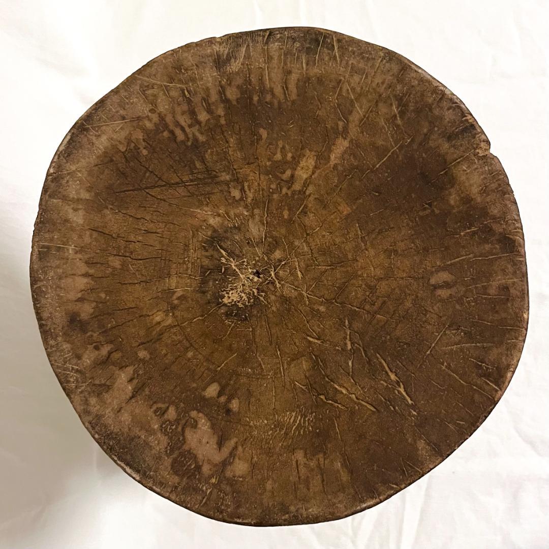 アフリカ ジンバブエ トンガスツール