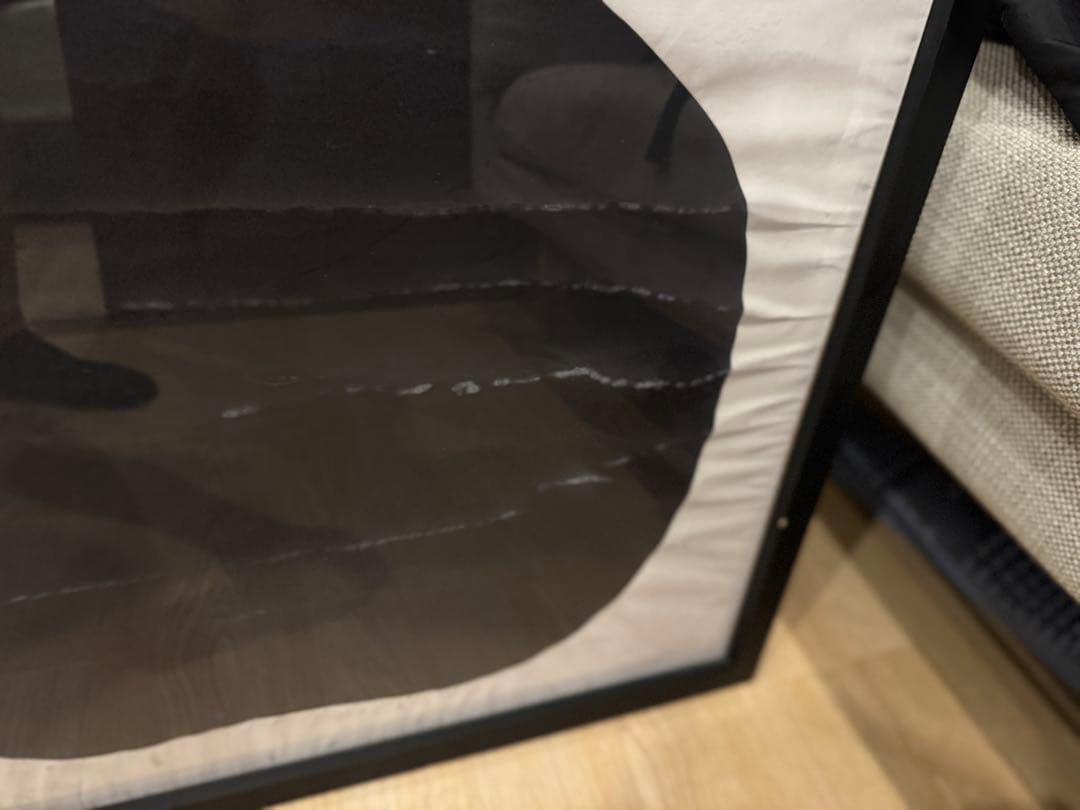 ダネーゼ　ポスター　リンゴと洋梨　フレーム付き