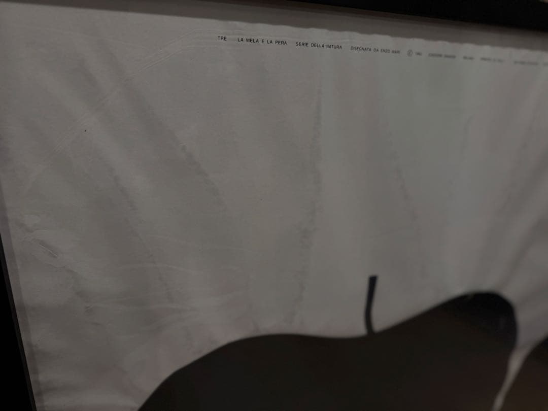 ダネーゼ　ポスター　リンゴと洋梨　フレーム付き