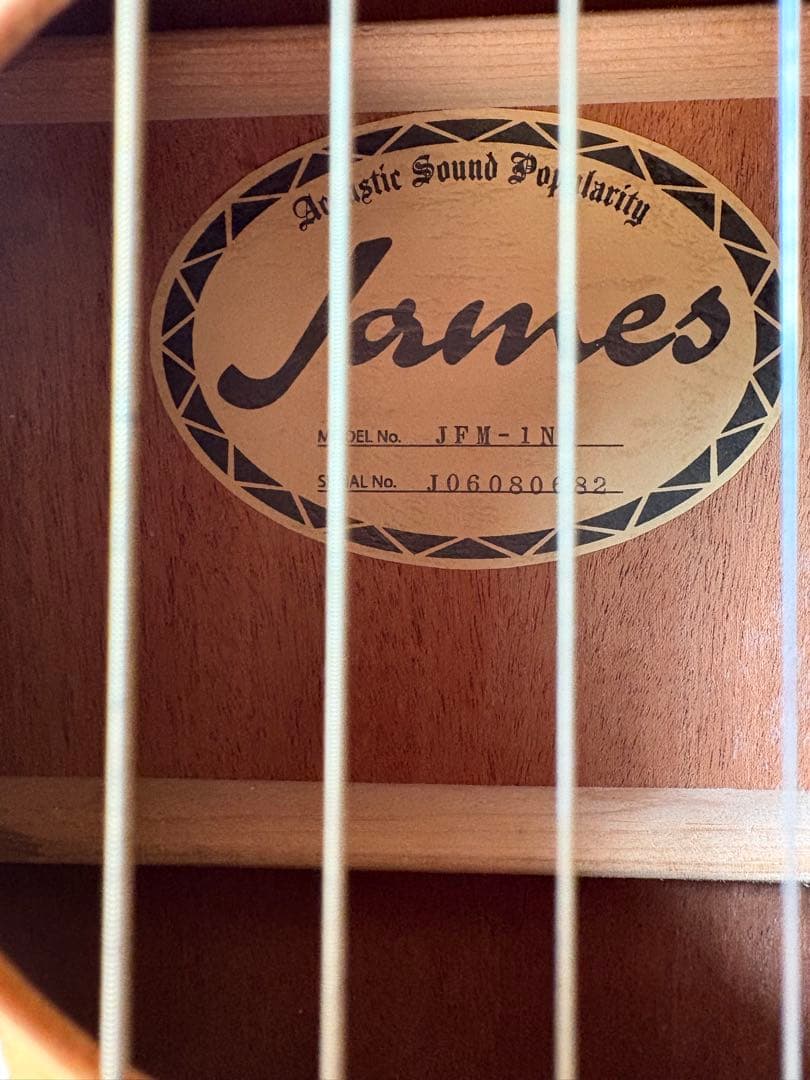 James JEM-1N アコースティックギター