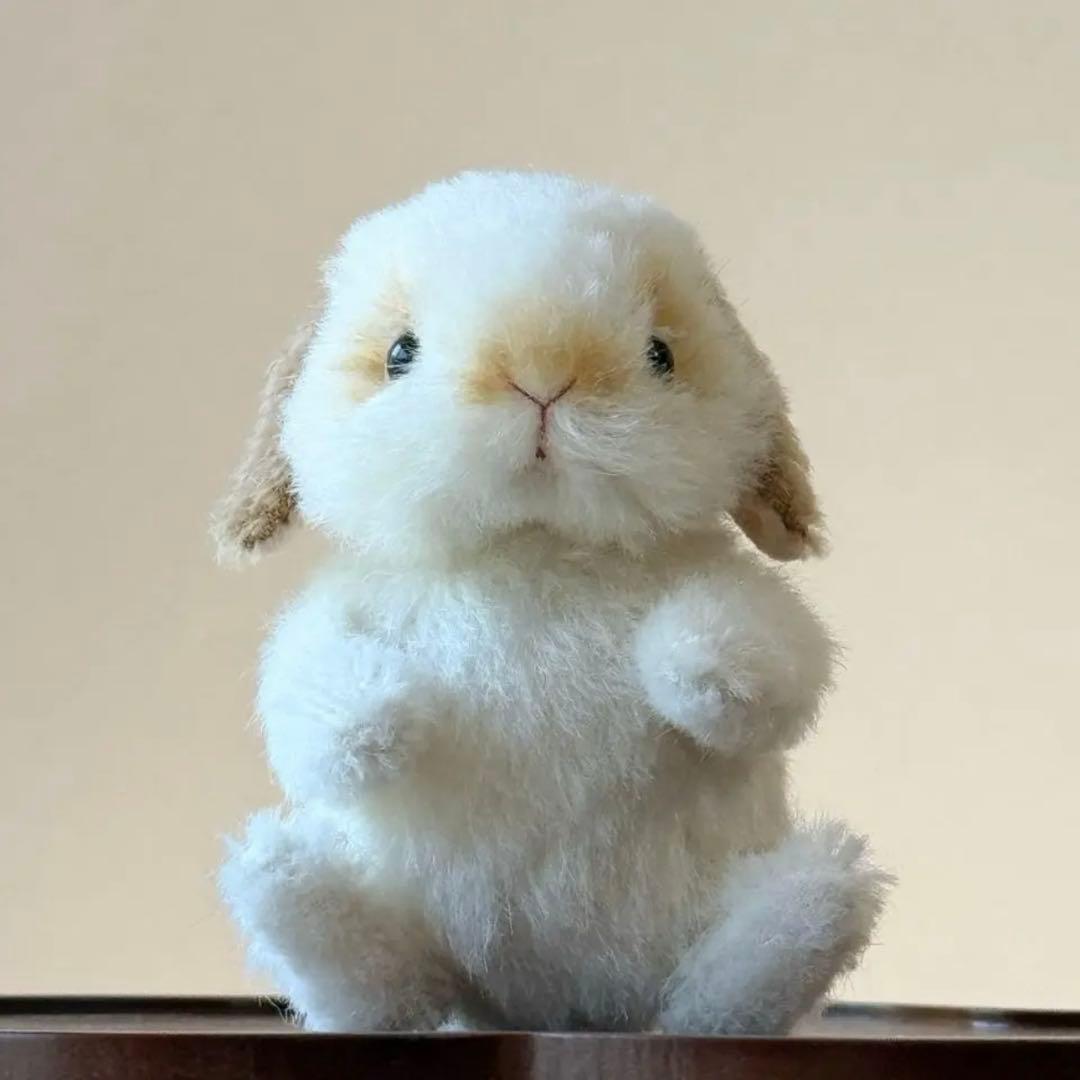 Bonita rabbitsさま 作家様 ぬいぐるみ ロップイヤー