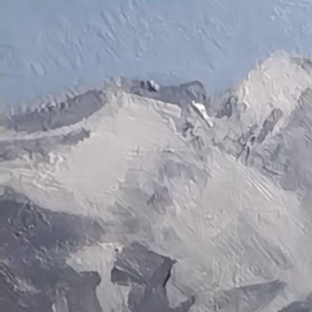 新井隆「川岸に芽吹く」油彩 ６号 風景画 未鑑定 ゴールドフレーム