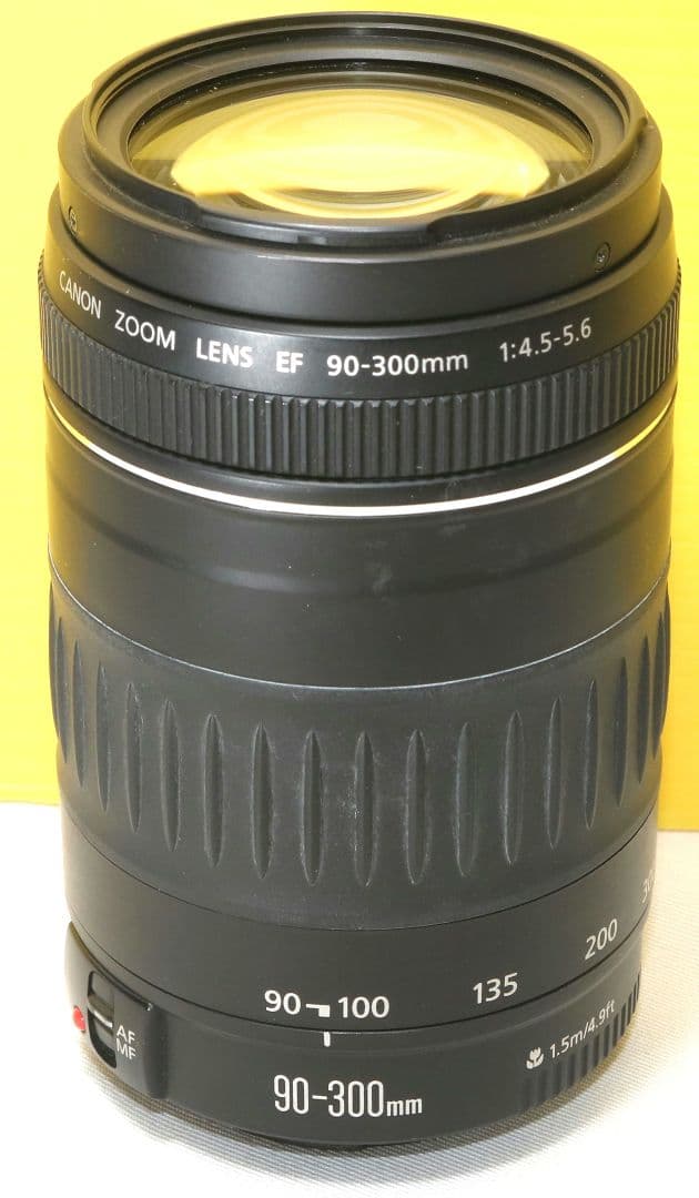 ⭐Canon キヤノン 望遠レンズ EF90-300mm ⭐送料無料⭐