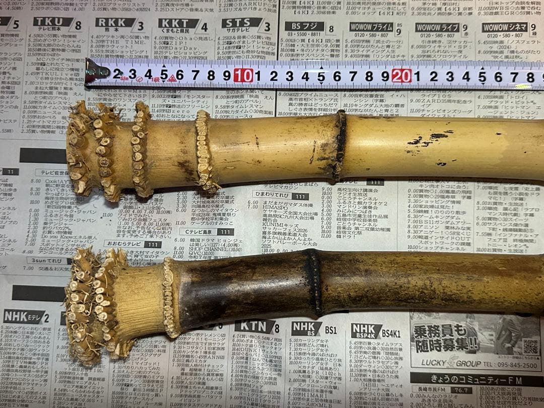 尺八用竹材原竹2本セット約90cm加工前素材 #1
