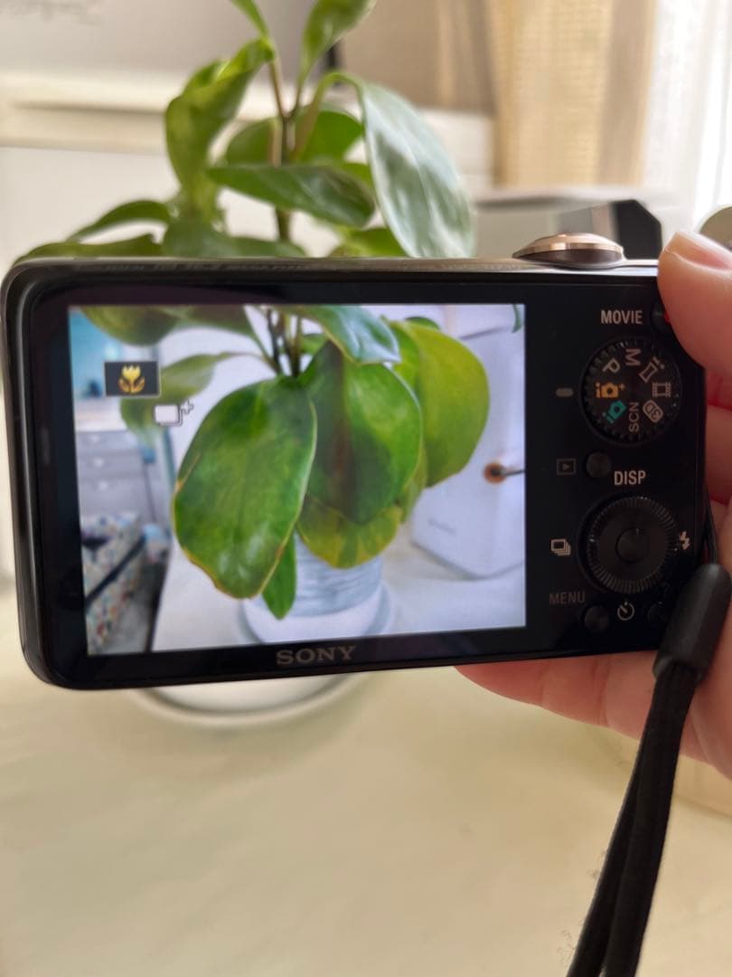 デジタルカメラ　SONY