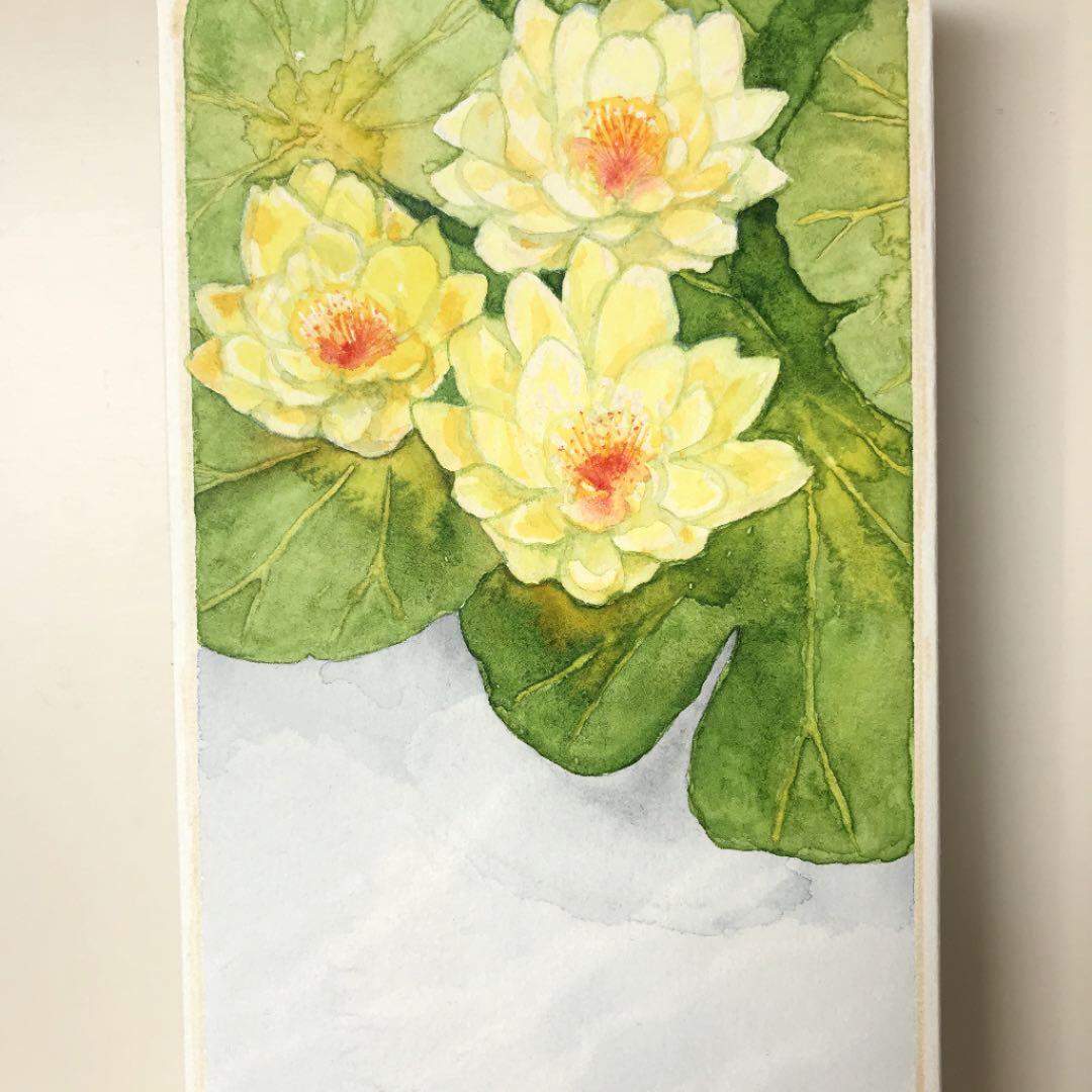 金魚 絵画 水彩画 オリジナル