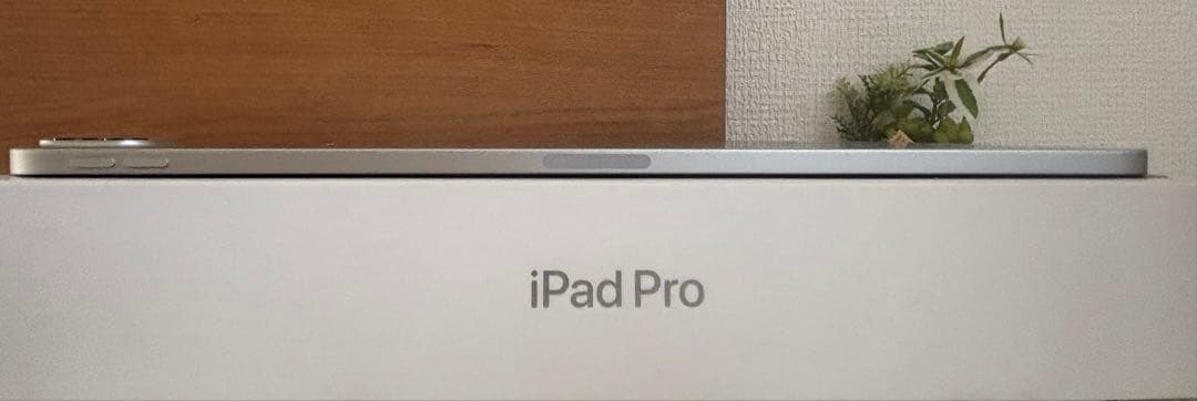 iPad Pro 12.9第5世代 512GB ApplePencil第2世代