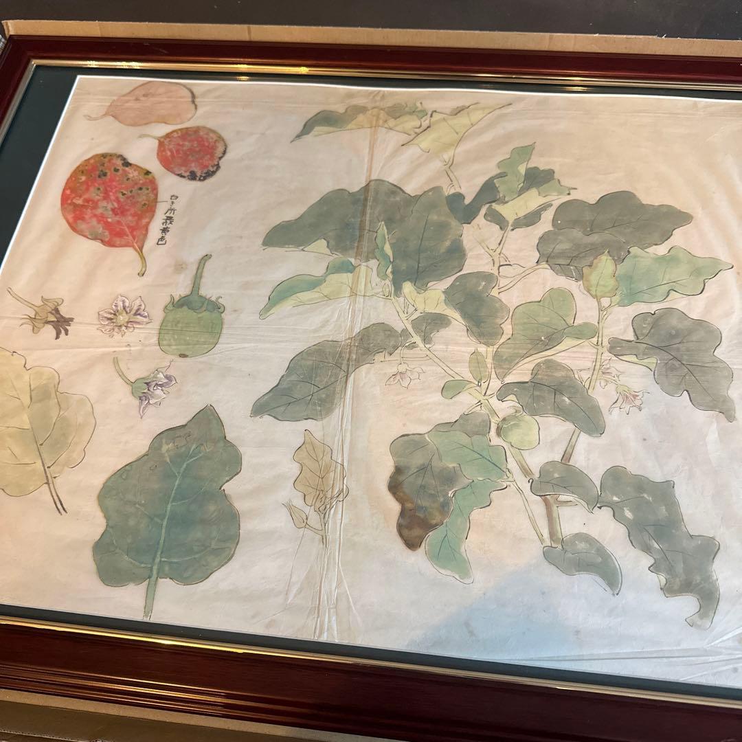 大幅お値下げ❣️古い日本画　スケッチ画　額絵　ヴィンテージ　土田麦僊？