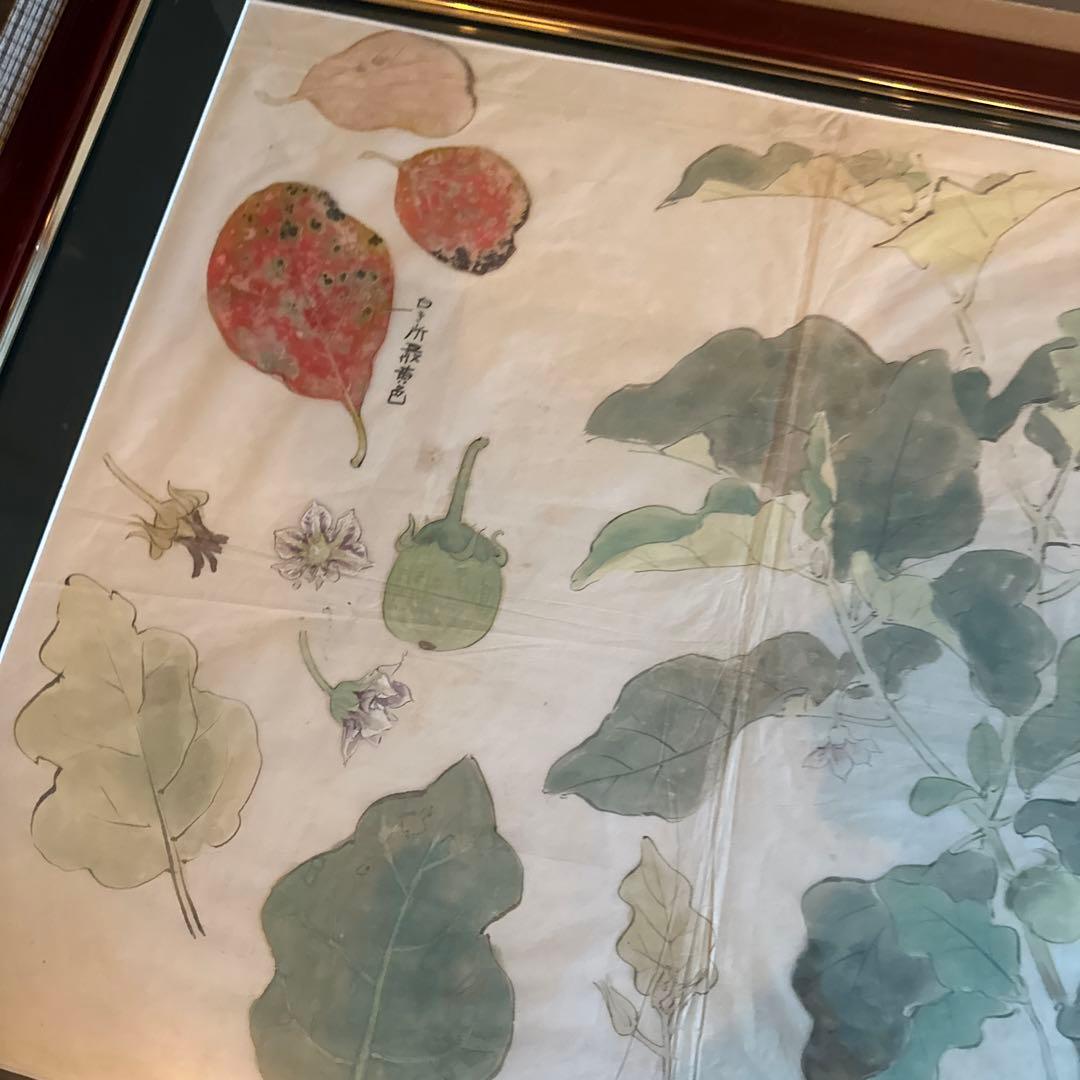 大幅お値下げ❣️古い日本画　スケッチ画　額絵　ヴィンテージ　土田麦僊？