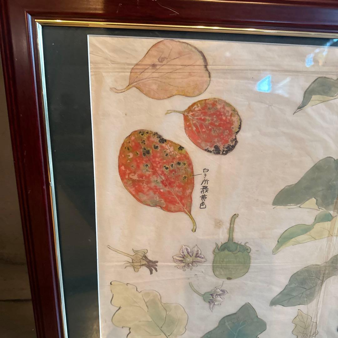 大幅お値下げ❣️古い日本画　スケッチ画　額絵　ヴィンテージ　土田麦僊？