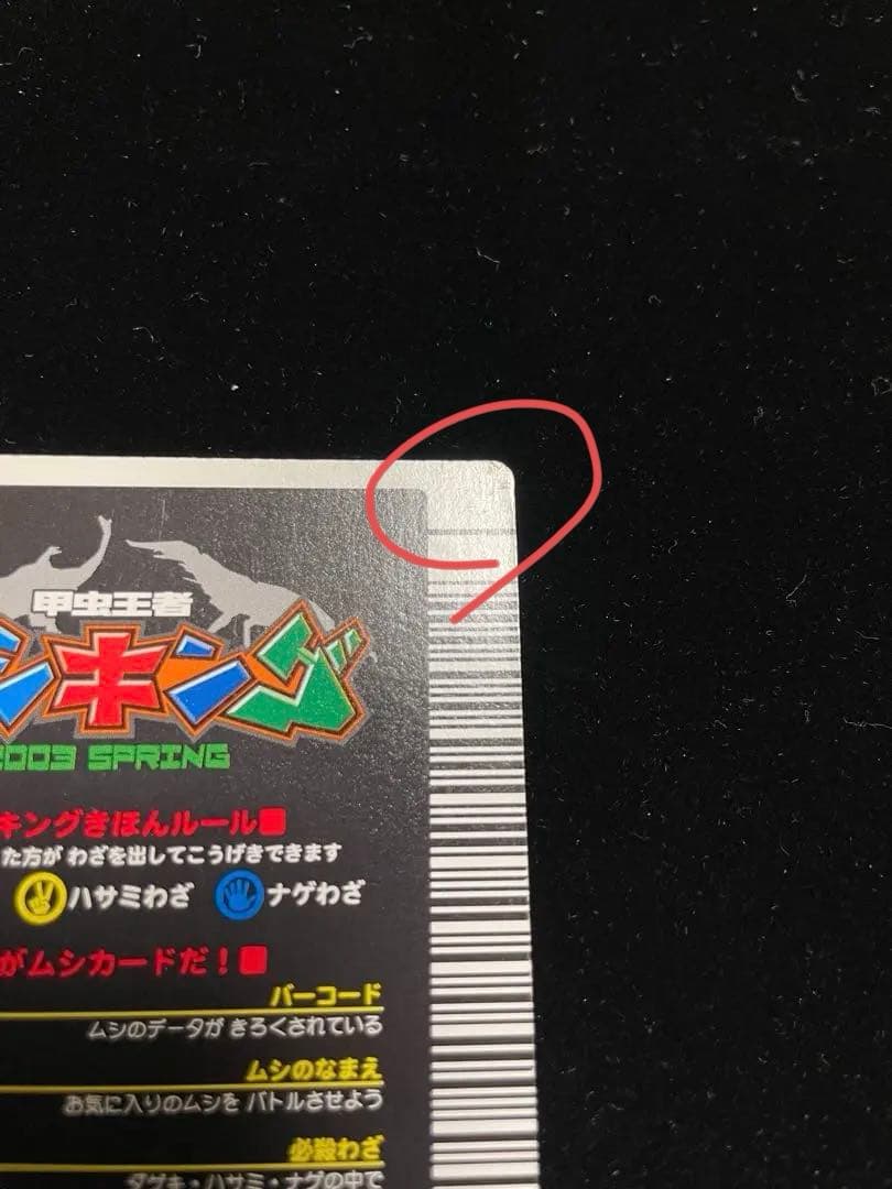 ヘルクレスオオカブト2003春後期学名黒