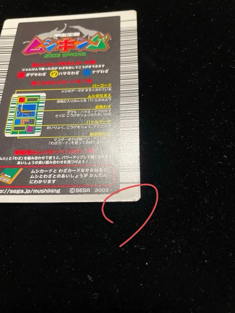 ヘルクレスオオカブト2003春後期学名黒