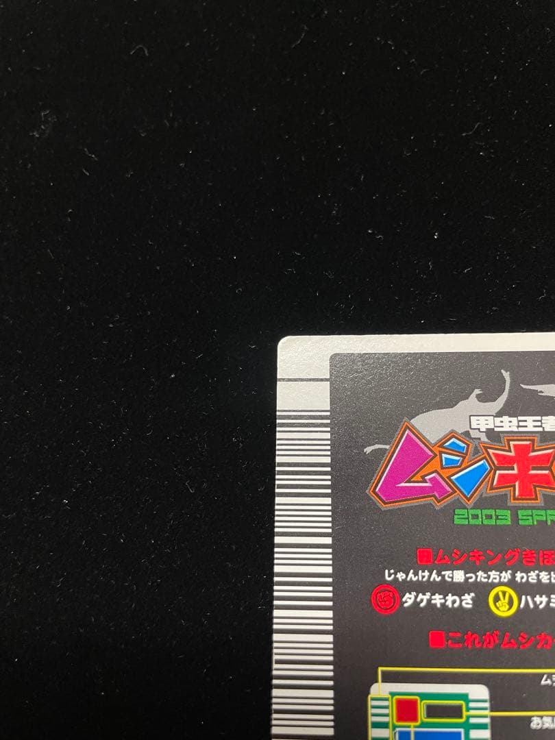 ヘルクレスオオカブト2003春後期学名黒