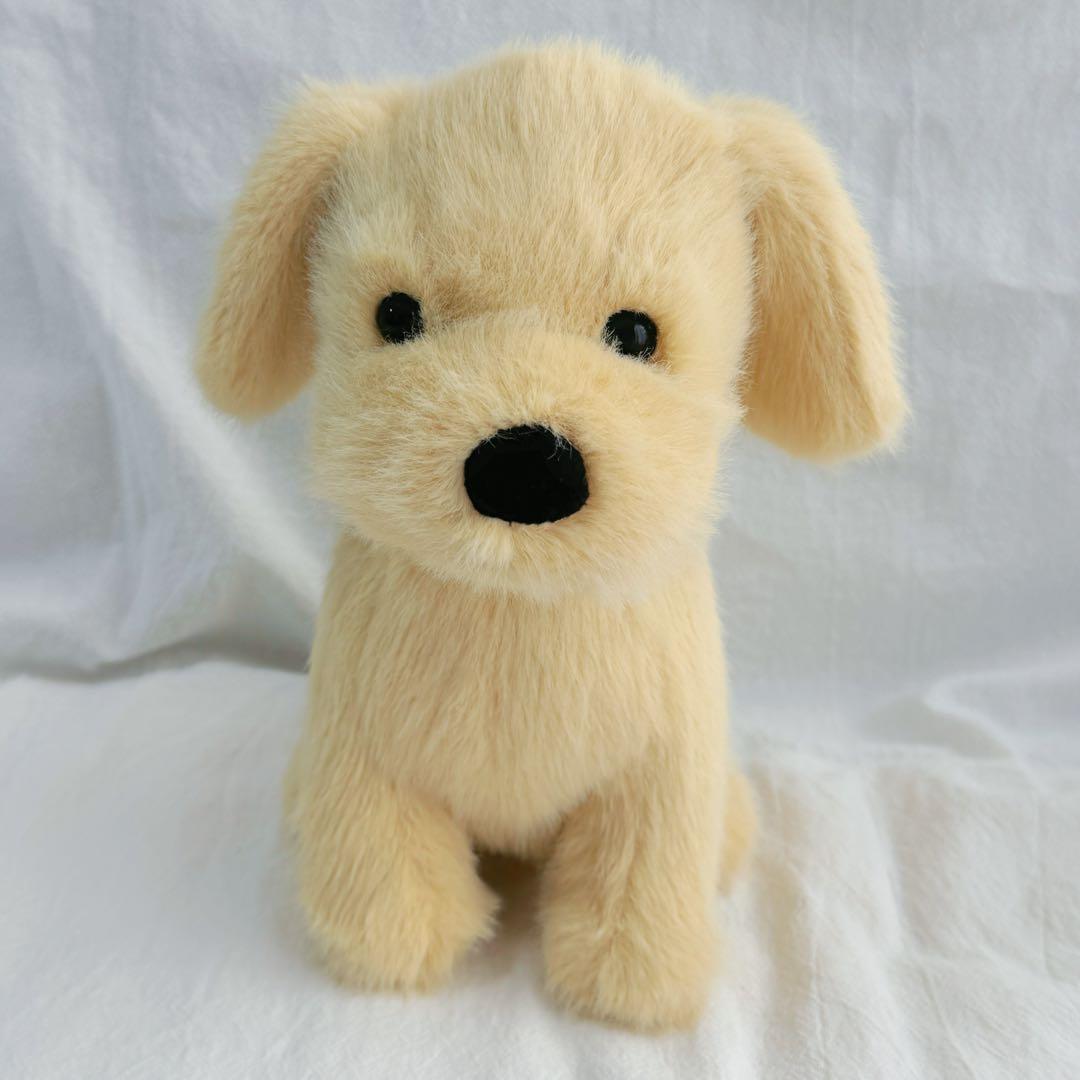 ジェリーキャット　ゴールデン パピー Golden Puppy 犬