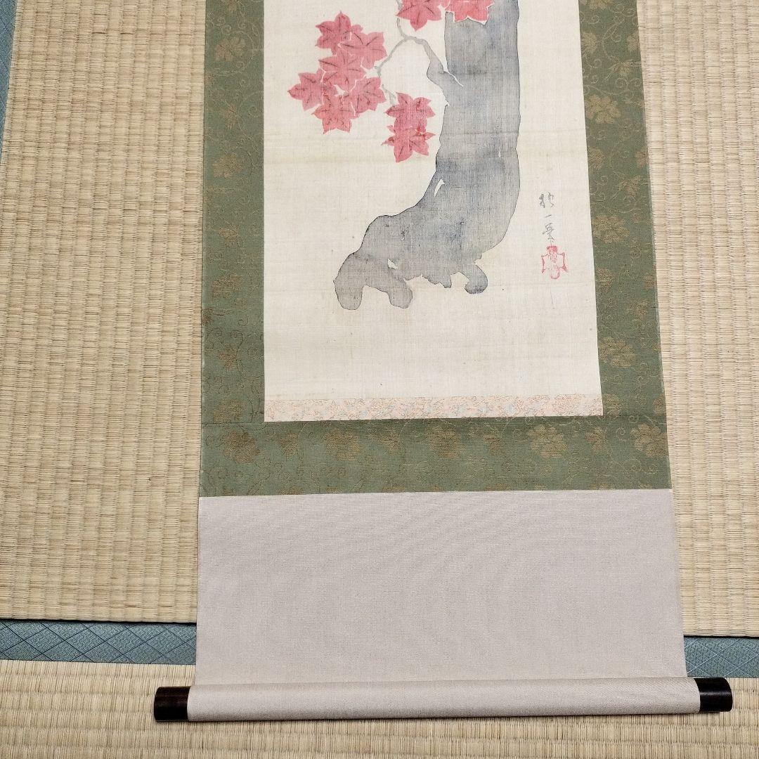 酒井抱一かえで 日本画 掛軸 約150cm