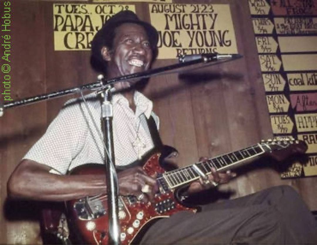 Kawai S3T 60'sビザールギター Hound Dog Taylor