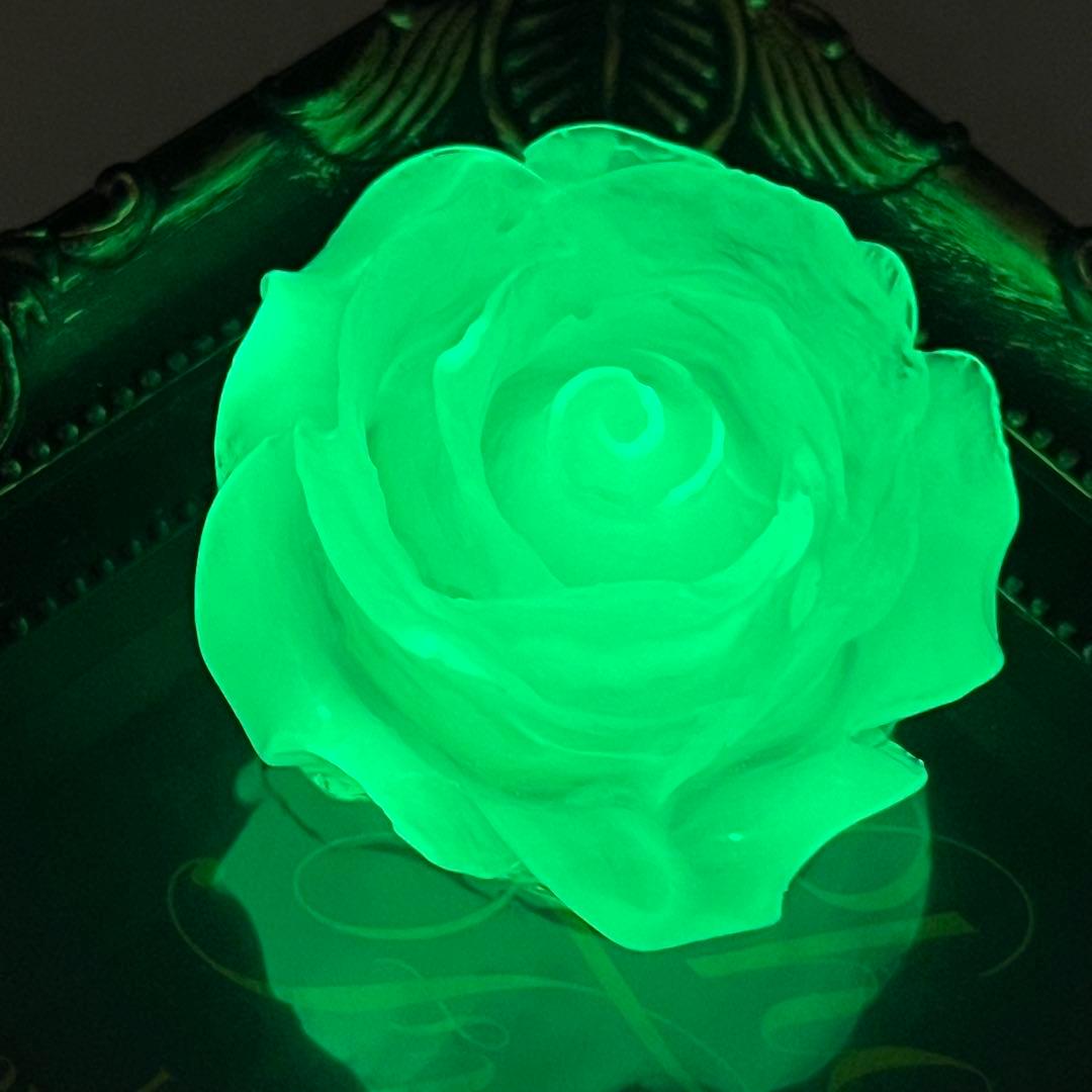 恐ろしく輝く薔薇のオルゴナイト【蓄光】