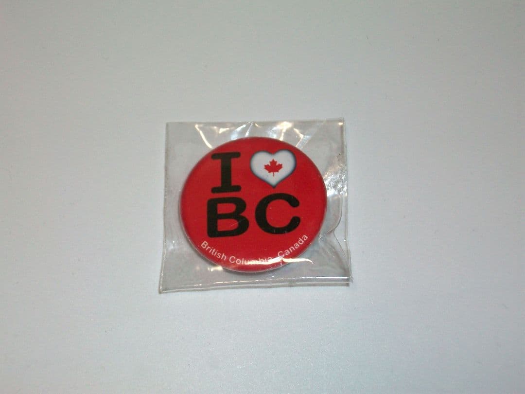 Kodak 9.2MP コンパクトデジタルカメラ 動作品 easyshare