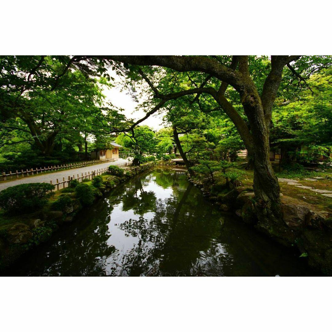 【美品/作例】Sigmagma EX 10-20mm f4-5.6 DC HSM