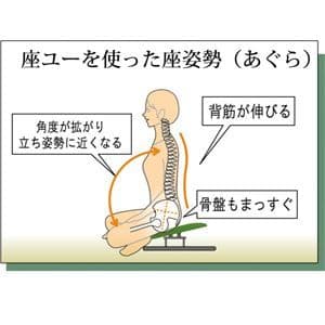 あぐら椅子/正座椅子 【スウィング背もたれ付き モスグリーン×ブラック