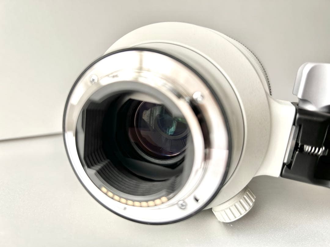 s*m様 SONY FE 100-400mm F4.5-5.6 GM OSS