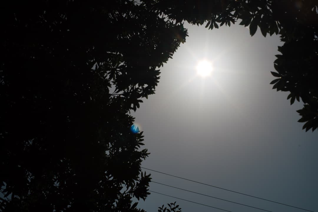 【美品】動作◎ SMC Takumar 50mm F1.4 PENTAX 215