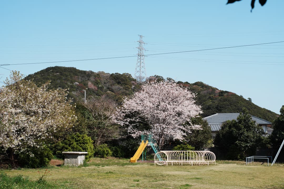 【美品】動作◎ SMC Takumar 50mm F1.4 PENTAX 215