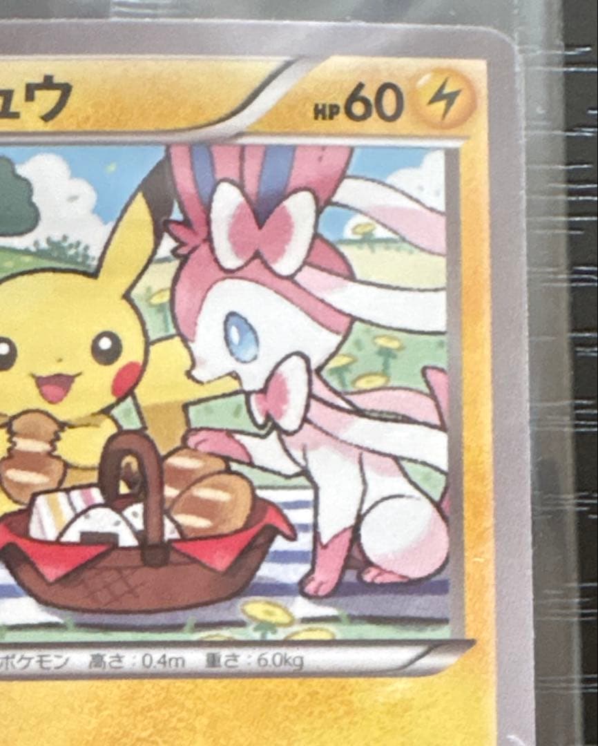 ポケモンカード ピカチュウ いっしょにたべよ プロモ 未開封