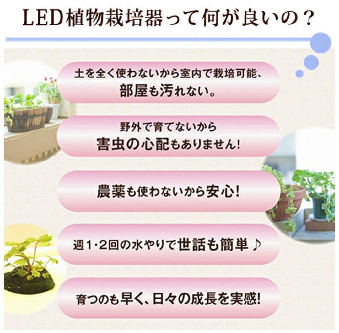 【新品未開封2個】水耕栽培キット 野菜 室内 LED Akarina14