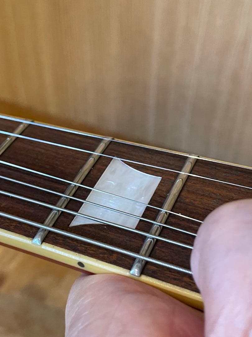 【激レア美品】Burny RLG-55S SUSTAINER レスポールタイプ