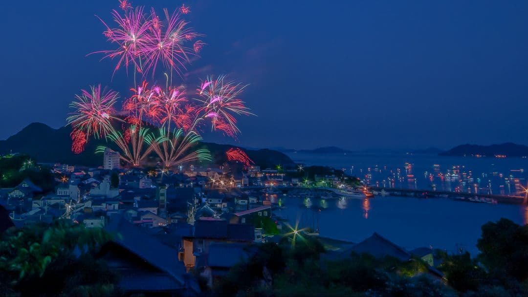 Nikon D300 デジタル一眼レフカメラ 本体 ＋ MC36